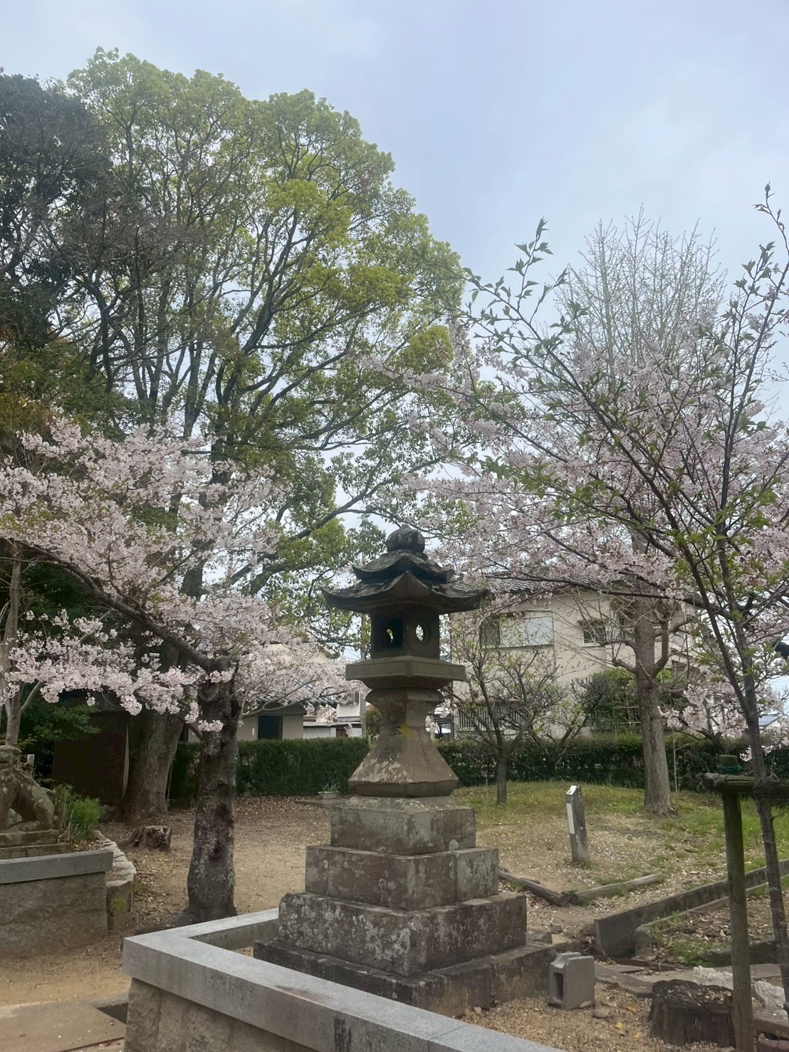 神社境内